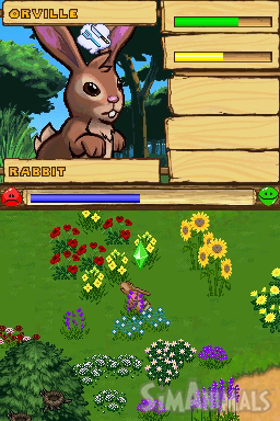 Sims Animals